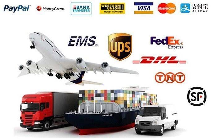 transportation